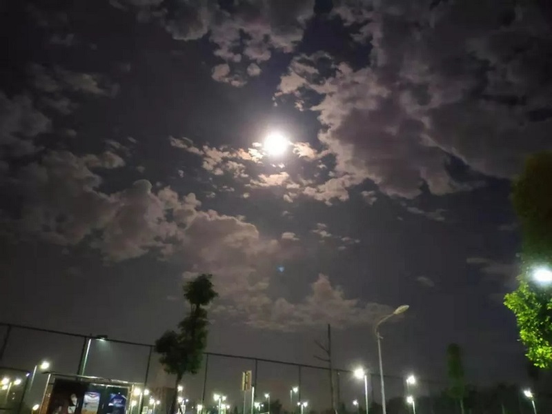 交院文摘丨月亮若是圆了