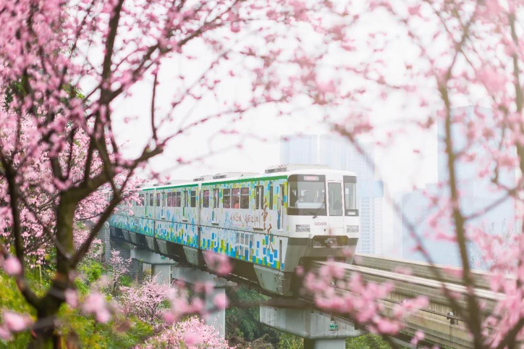 全国人大代表张杰：以更宽视野为轨道交通发声